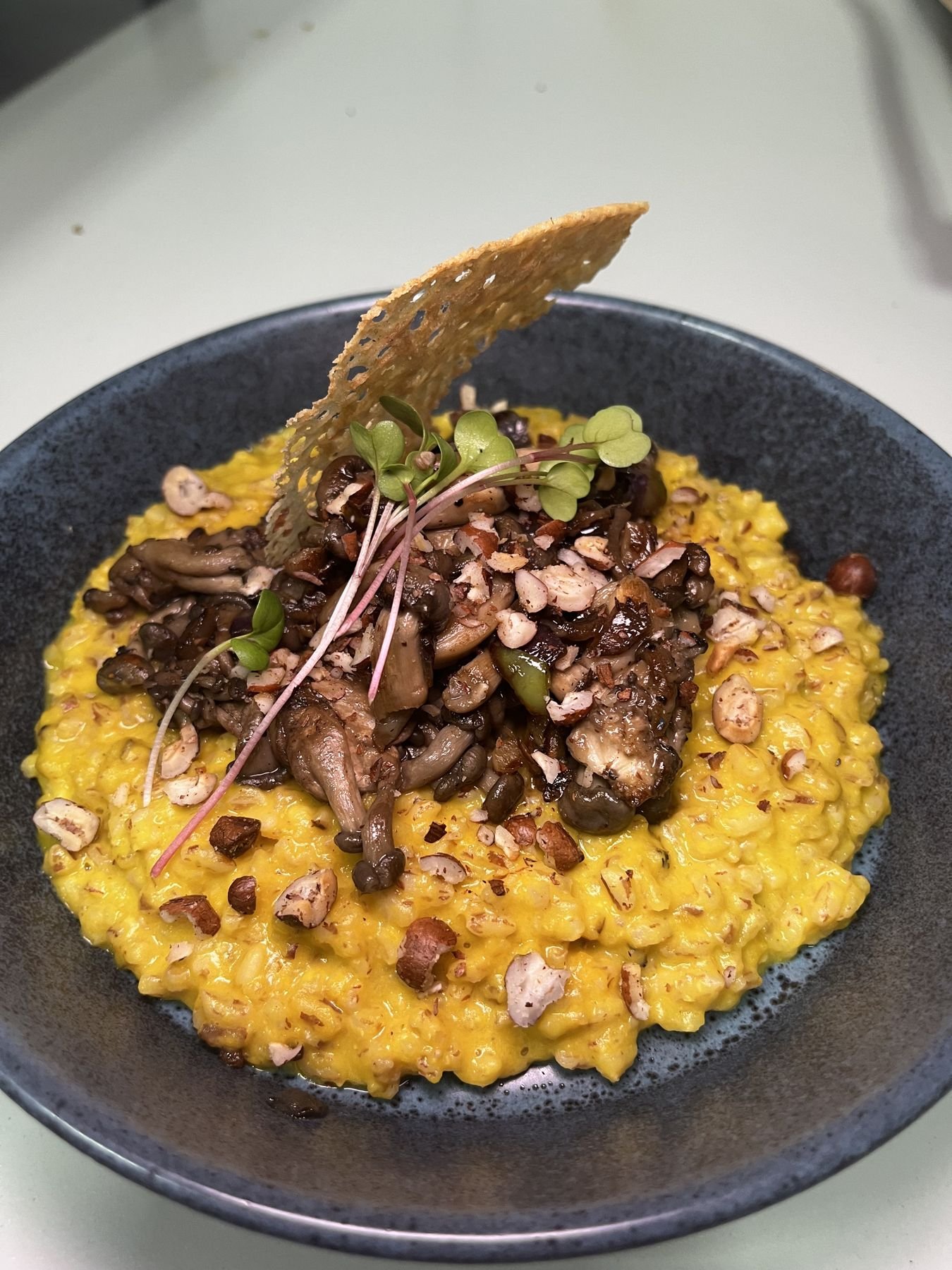 Risoto com cogumelos e crocante de queijo
