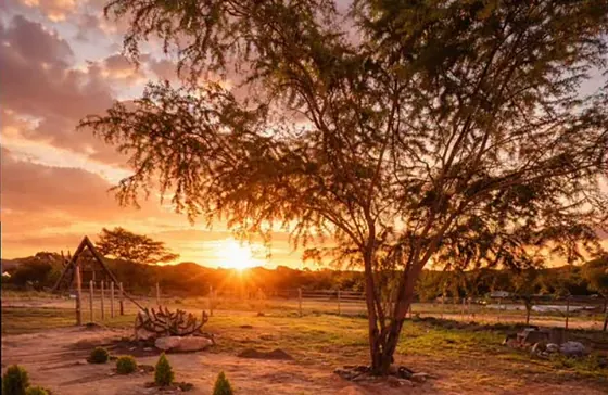 Pôr do sol atrás de uma algaroba no terreno do chalé