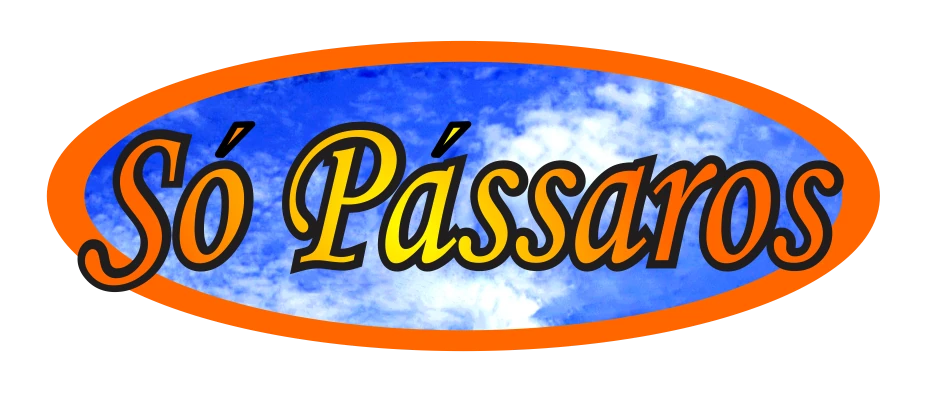 Logo do Grupo Só Pássaros, desde 2006